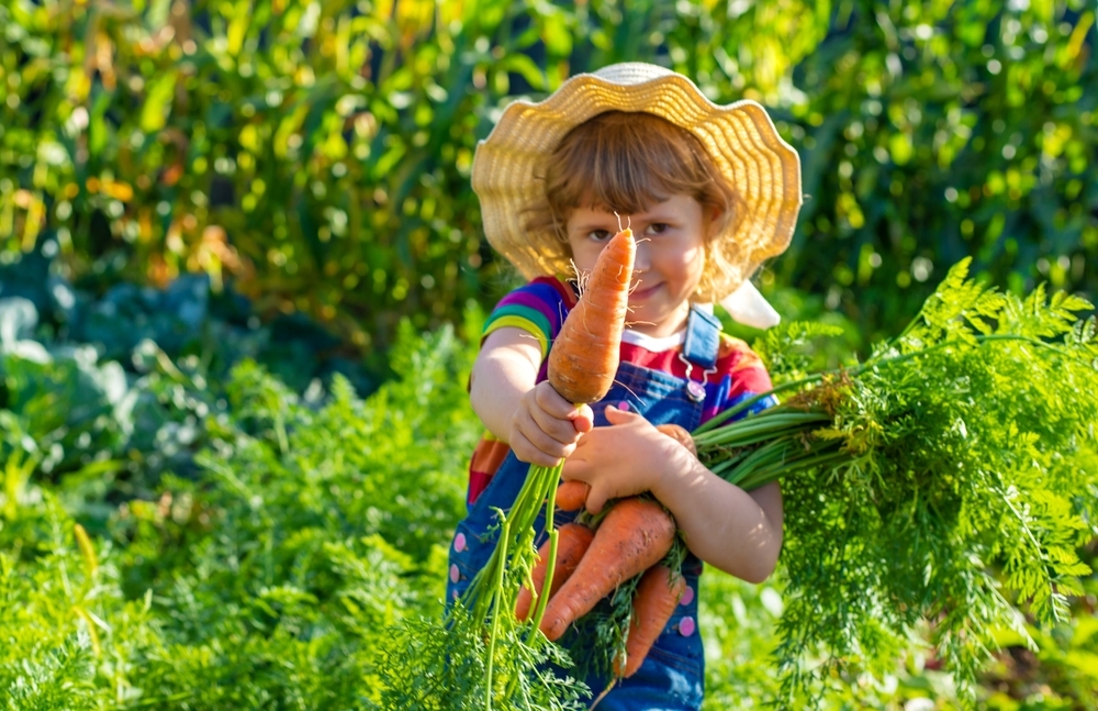 shutterstock_2713568243.jpg