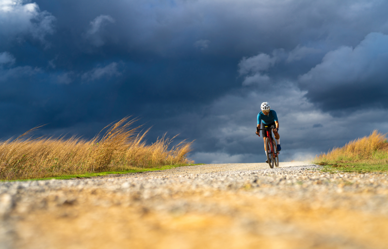 How do medicinal mushrooms help athletes?