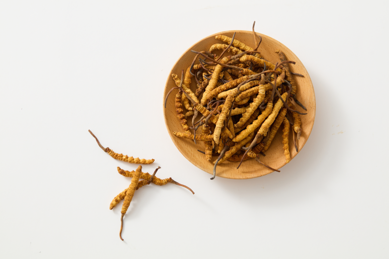 Cordyceps - recharges lost energy