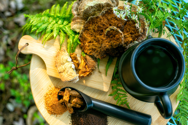How to dose medicinal mushrooms correctly?